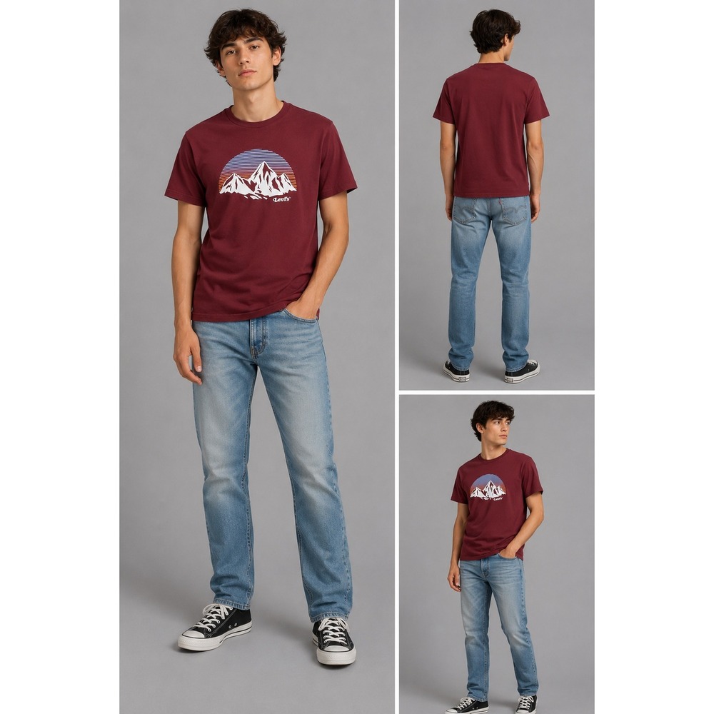 Levi's Mens Size Med Burgundy Mountain Graphic T-Shirt Retro Sunset Cotton Tee